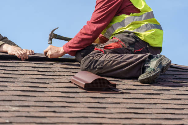 Best Shingle Roofing Installation  in La Grulla, TX