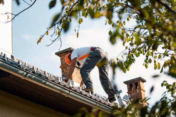 Best Best Roofing Contractors  in La Grulla, TX
