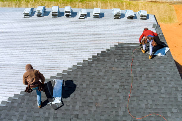 Best Roof Gutter Cleaning  in La Grulla, TX