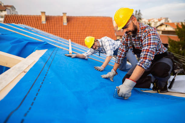 Best Roof Leak Repair  in La Grulla, TX