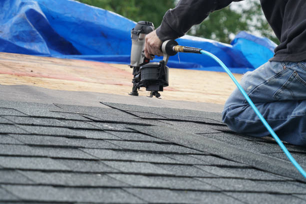 Best Commercial Roofing Services  in La Grulla, TX