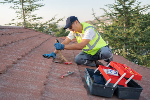 Best Storm Damage Roof Repair  in La Grulla, TX