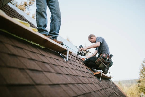 Best Emergency Roof Repair  in La Grulla, TX