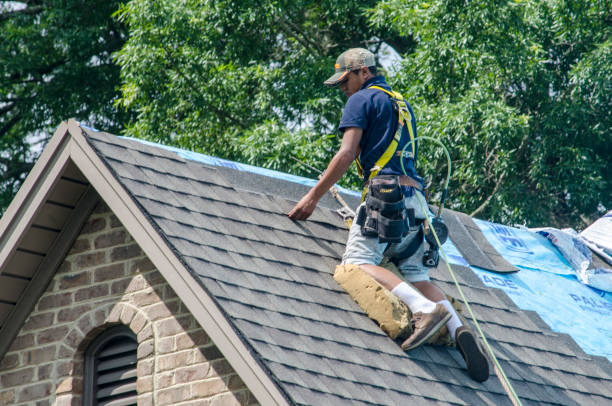 Best Flat Roof Repair Services  in La Grulla, TX